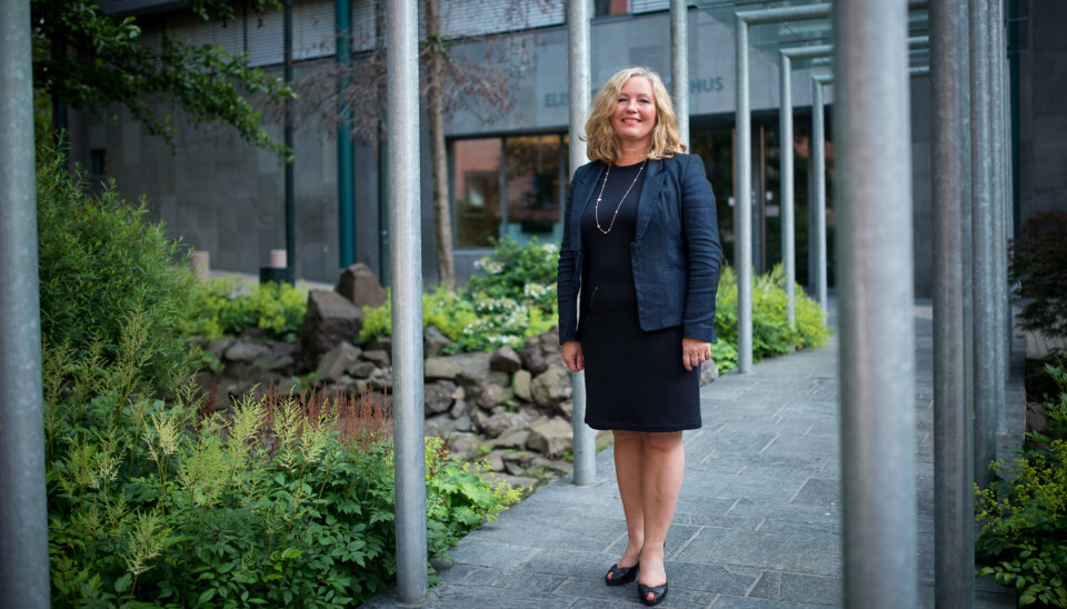 — Vi har ikke vært flinke nok til å vise hvor attraktive vi er som arbeidsplass, mener høgskoledirektør Ann Elisabeth Wedø. Foto: Skjalg Bøhmer Vold
