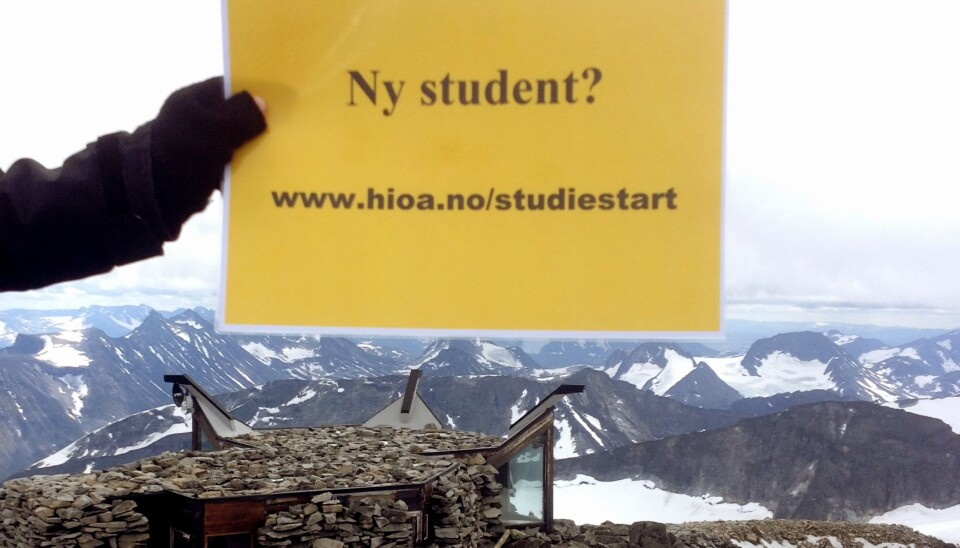 Gul plakat på vandring som varsler studiestart. Søndag 4. august nådde den nye høyder. Norges topp, nærmere bestemt Galdhøpiggen. Foto: SK/HiOA