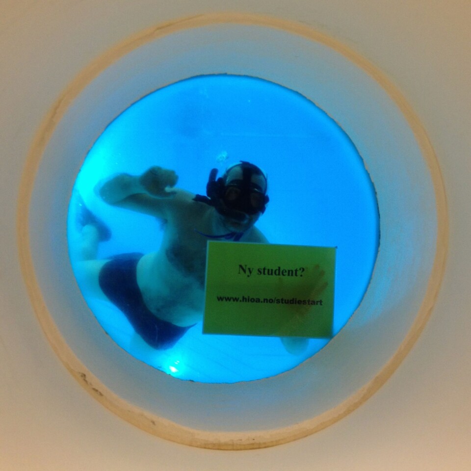 Gul plakat om studiestart på Galdhøpiggen