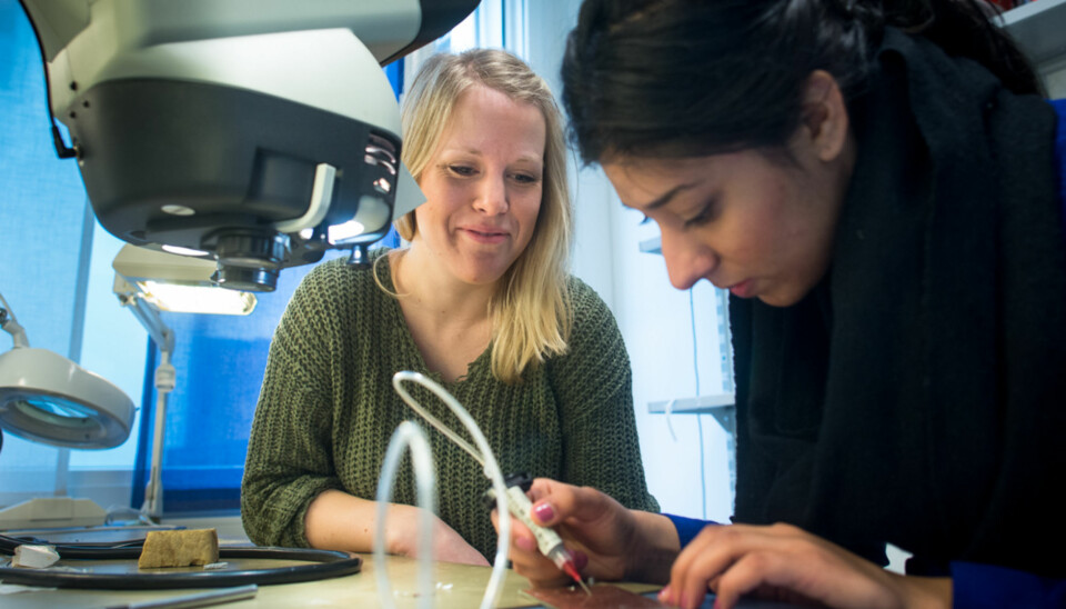 Tone Liv Fredriksen og Ayosha Hussain går andre år på elektrononikk og informasjonsteknologi ingeniør ved høgskolen. De ser det som svært viktig å ha godt grunnlag i matte og fysikk når du studerer ingeniørfag. Foto: Skjalg Bøhmer Vold