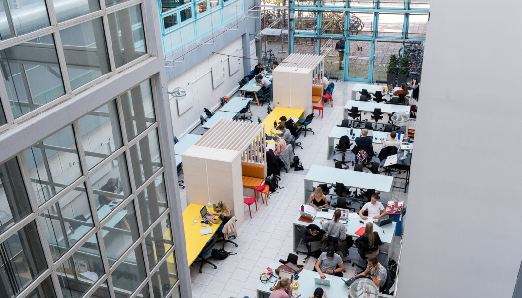 Studenter etterspør læringsrom, der de kan arbeide individuelt, men også være del av et sosialt miljø, går det fram av rapporten om campusutforming som Kunnskapsdepartementet har bestilt. Her fra NTNU. Foot: Skjalg Bøhmer Vold Studenter etterspør læringsrom, der de kan arbeide individuelt, men også være del av et sosialt miljø, går det fram av rapporten om campusutforming som Kunnskapsdepartementet har bestilt. Her fra NTNU. Foot: Skjalg Bøhmer Vold