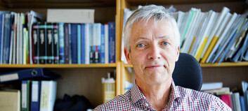 UiO-professor Steinar Holden skal lede ekspertutvalg