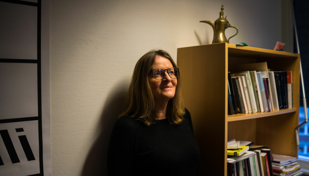 Professor Anne Birgitta Nilsen på OsloMet vil ha mer tverrfaglighet. Foto: David Engmo