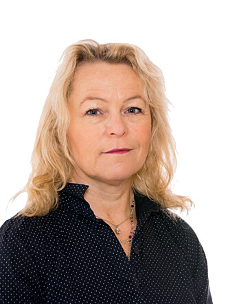 Åse Michaelsen. Foto: Stortinget Åse Michaelsen. Foto: Stortinget