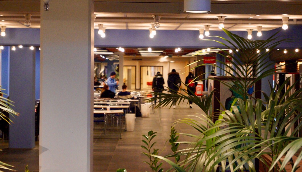 Regjeringen må øke studiestøtten for å gjøre noe med dette, skriver Daniel Hansen Masvik, studentparlamentsleder ved UiT. Foto: Øystein Fimland Regjeringen må øke studiestøtten for å gjøre noe med dette, skriver Daniel Hansen Masvik, studentparlamentsleder ved UiT. Foto: Øystein Fimland