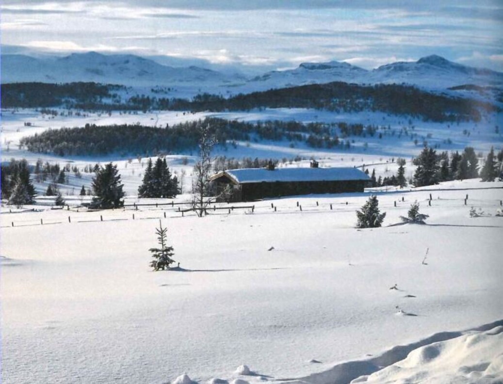 Gode skiforhold ved Svein Stølens hytte. Foto: Svein Stølen Gode skiforhold ved Svein Stølens hytte. Foto: Svein Stølen