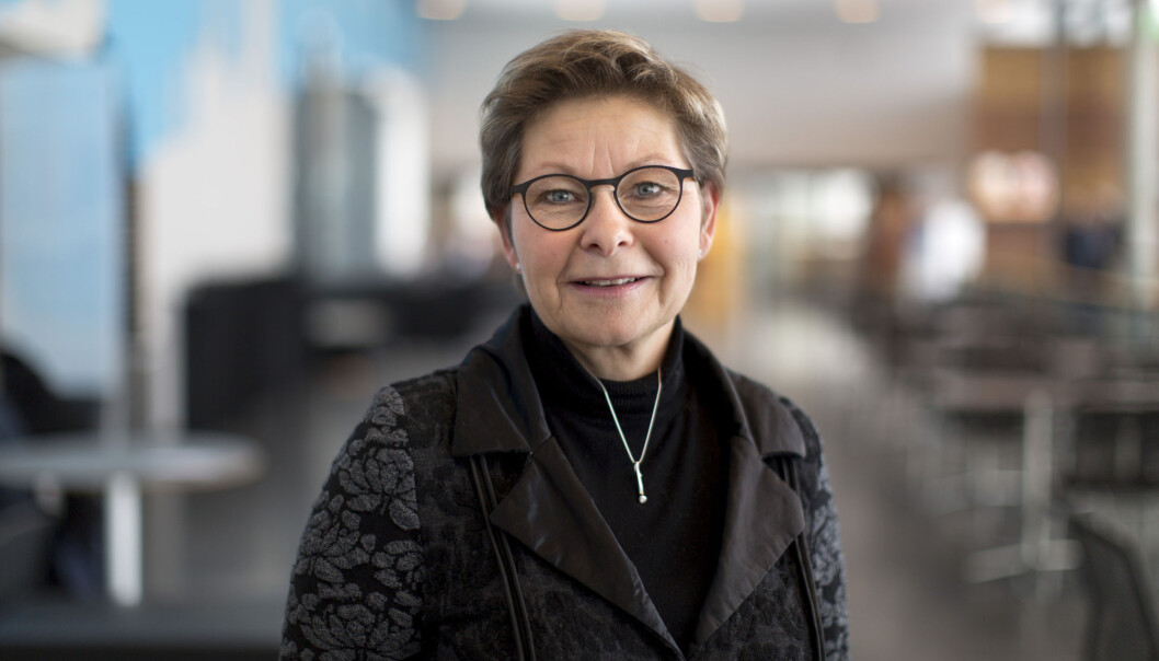 Personal- og organisasjonsdirektør, Elisabeth Ernø Borhaug omformulerer høgskolens forslag til personalreglement. Foto: HSN Personal- og organisasjonsdirektør, Elisabeth Ernø Borhaug omformulerer høgskolens forslag til personalreglement. Foto: HSN