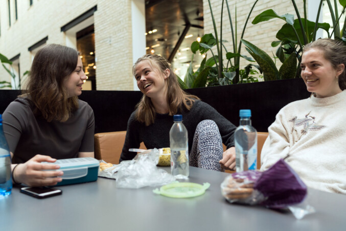 Frida Sagen, Maria Nora Watne og Carolin Vormeland sier ingen av dem sliter særlig med nerver før eksamen. De mener trikset er å ufarliggjøre det. Foto: Ketil Blom Haugstulen Frida Sagen, Maria Nora Watne og Carolin Vormeland sier ingen av dem sliter særlig med nerver før eksamen. De mener trikset er å ufarliggjøre det. Foto: Ketil Blom Haugstulen