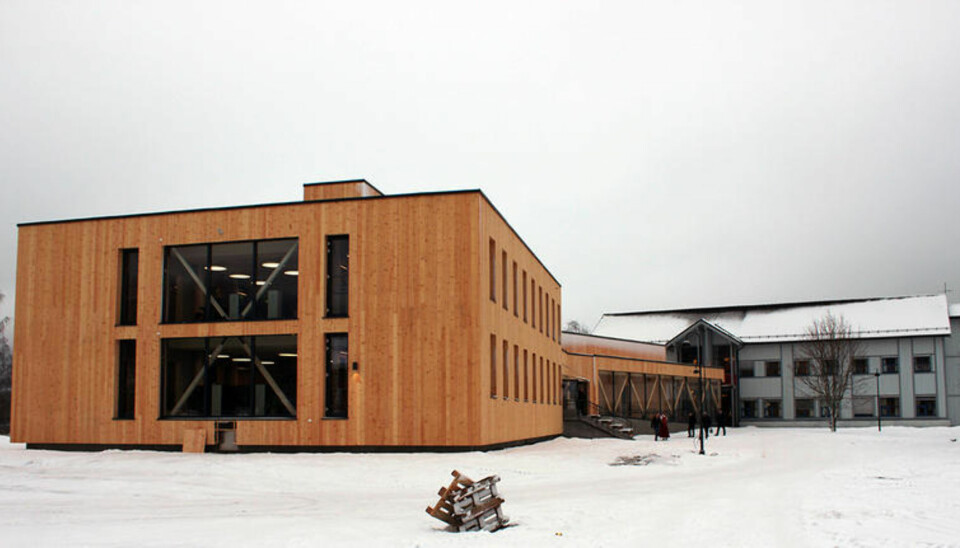 Campus Evenstad har et av verdens mest miljøvennlige campusbygg, ifølge Høgskolen i Innlandet. Foto: HiNN