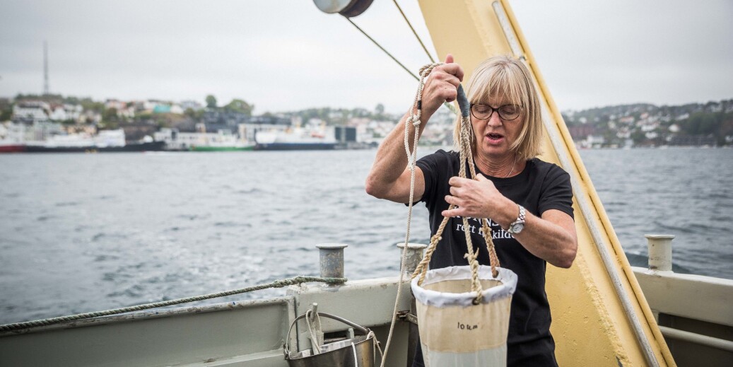 Bente Edvardsen er professor i marinbiologi på Universitetet i Oslo. Her sjekker hun plankton utenfor Arendal. Foto: Siri Øverland Eriksen Bente Edvardsen er professor i marinbiologi på Universitetet i Oslo. Her sjekker hun plankton utenfor Arendal. Foto: Siri Øverland Eriksen
