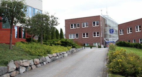 Nytt styre ved Høgskolen i Molde