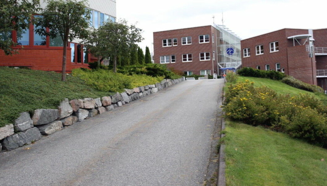 Høgskolen i Molde. Foto: Arild J. Waagbø