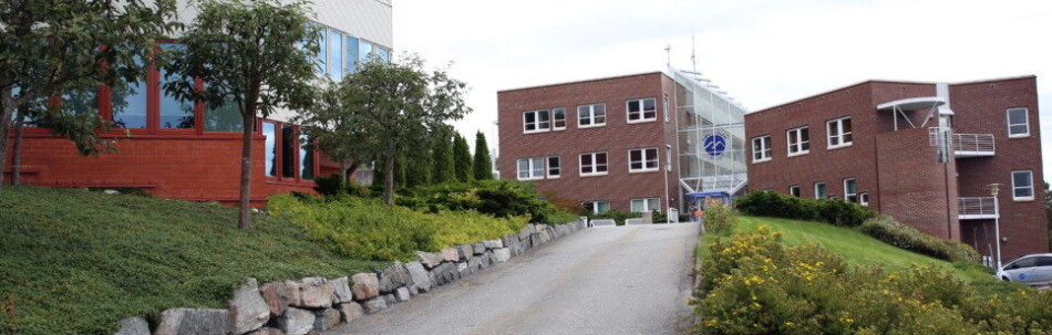 Høgskolen i Molde har fått nytt styre, som overtar 1. august. Foto: Arild J. Waagbø Høgskolen i Molde har fått nytt styre, som overtar 1. august. Foto: Arild J. Waagbø