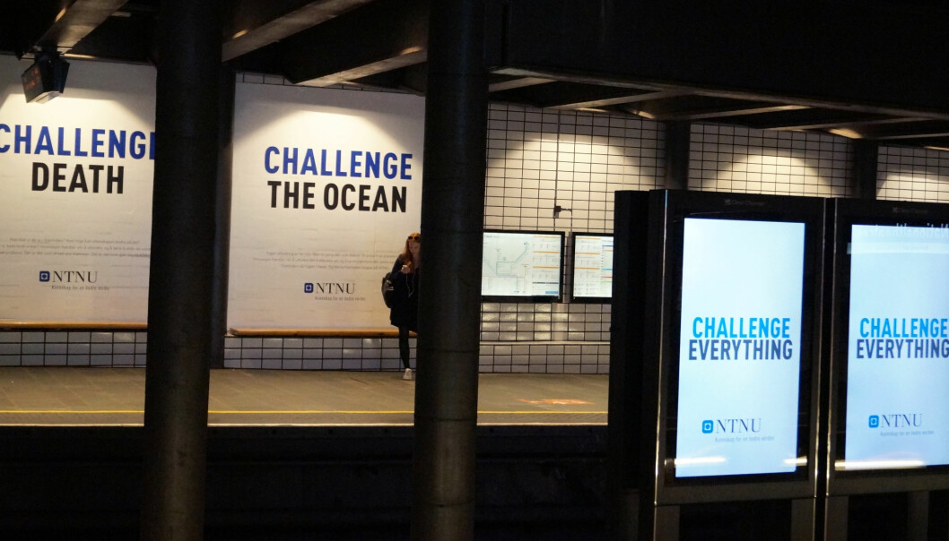 NTNU har brukt 9 millioner kroner på den såkalte «Challenge»-kampanjen. Den har over 100 forskjellige budskap. Foto: Brage Lie Jor