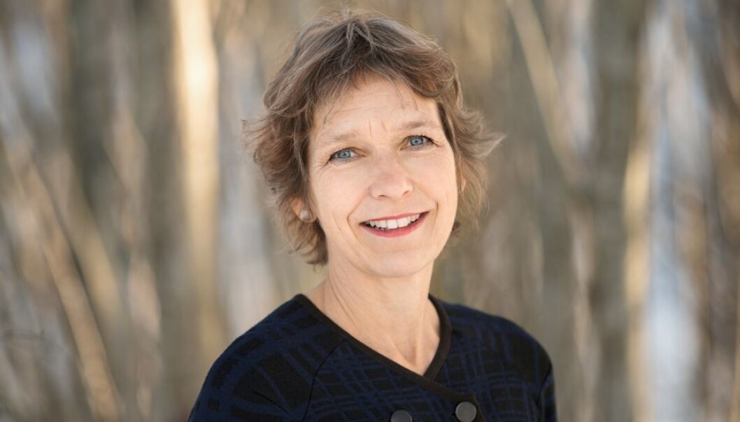 Det bør argumenteres mot standpunktene til førsteamanuensis Øyvind Eikrem, og det synes jeg NTNU-ledelsen burde gjort også, mener NTNU-professor i sosialt arbeid, Berit Berg. Foto: NTNU Det bør argumenteres mot standpunktene til førsteamanuensis Øyvind Eikrem, og det synes jeg NTNU-ledelsen burde gjort også, mener NTNU-professor i sosialt arbeid, Berit Berg. Foto: NTNU
