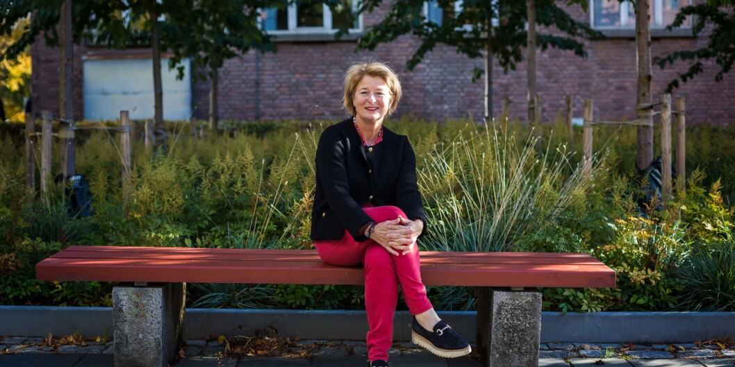 Rektor og styreleder Anne Husebekk klar for å lede enda et styremøte på UiT, der sammenslåing av kunstfakultetet og Tromsø Museum nok en gang står på dagsorden. Foto: Siri Øverland Eriksen Rektor og styreleder Anne Husebekk klar for å lede enda et styremøte på UiT, der sammenslåing av kunstfakultetet og Tromsø Museum nok en gang står på dagsorden. Foto: Siri Øverland Eriksen