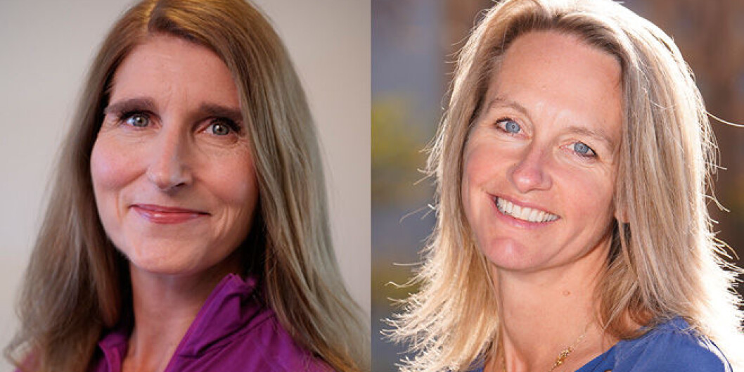 Kristile Skorge og Berit Kolberg Rossiné er nye duirektører på Universitetet i Oslo (UiO). Fotomontasje: UiO Kristile Skorge og Berit Kolberg Rossiné er nye duirektører på Universitetet i Oslo (UiO). Fotomontasje: UiO