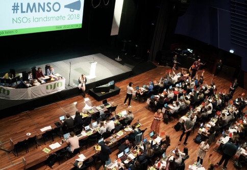 17 kandidater kjemper om ledervervene i NSO