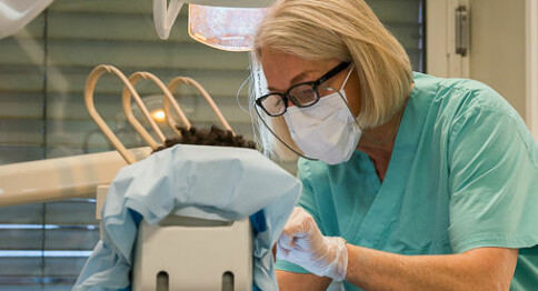 Tannlegeutdanningen i Oslo vurderer også opptaksprøve