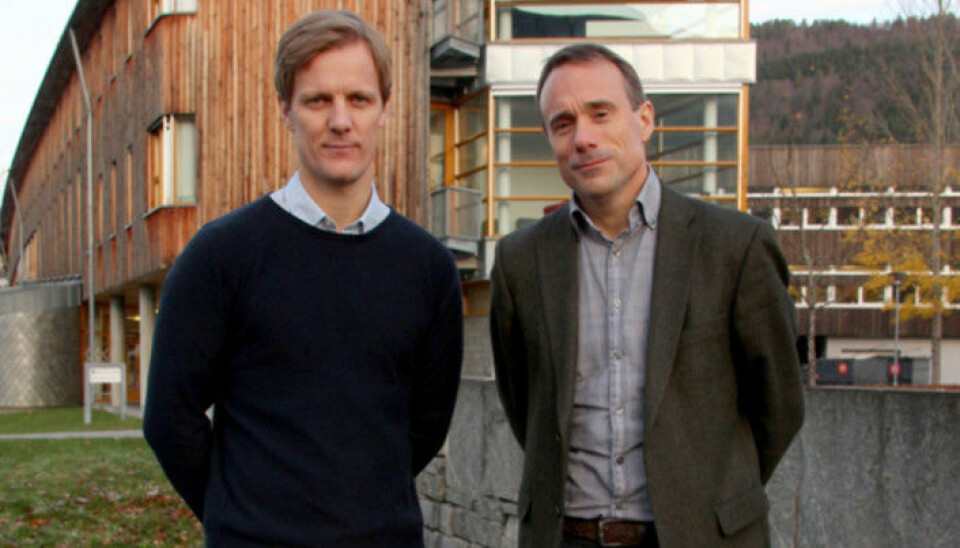 Her er nyvald prorektor Jens Standal Groven og rektor Johann Roppen i Volda 2015. Pressefoto: Anne Karene Rasmussen