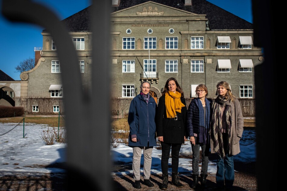 Bekymra tillitsvalgte på Veterinærhøgskolen: Elin Pålerud, Parat, Caroline Piercey Åkesson, Forskerforbundet,
Hege Brun-Hansen, Den norske veterinærforening og
Trude Stallemo, NTL.
Foto: Siri Øverland Eriksen Bekymra tillitsvalgte på Veterinærhøgskolen: Elin Pålerud, Parat, Caroline Piercey Åkesson, Forskerforbundet,
Hege Brun-Hansen, Den norske veterinærforening og
Trude Stallemo, NTL.
Foto: Siri Øverland Eriksen