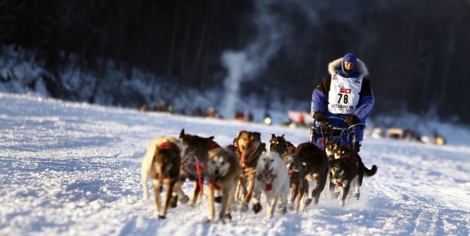 Det å komme i mål ses på som en seier i seg selv, sier Knut Skjesol, som har forsket på hundekjørere. Foto: Pixabay Det å komme i mål ses på som en seier i seg selv, sier Knut Skjesol, som har forsket på hundekjørere. Foto: Pixabay
