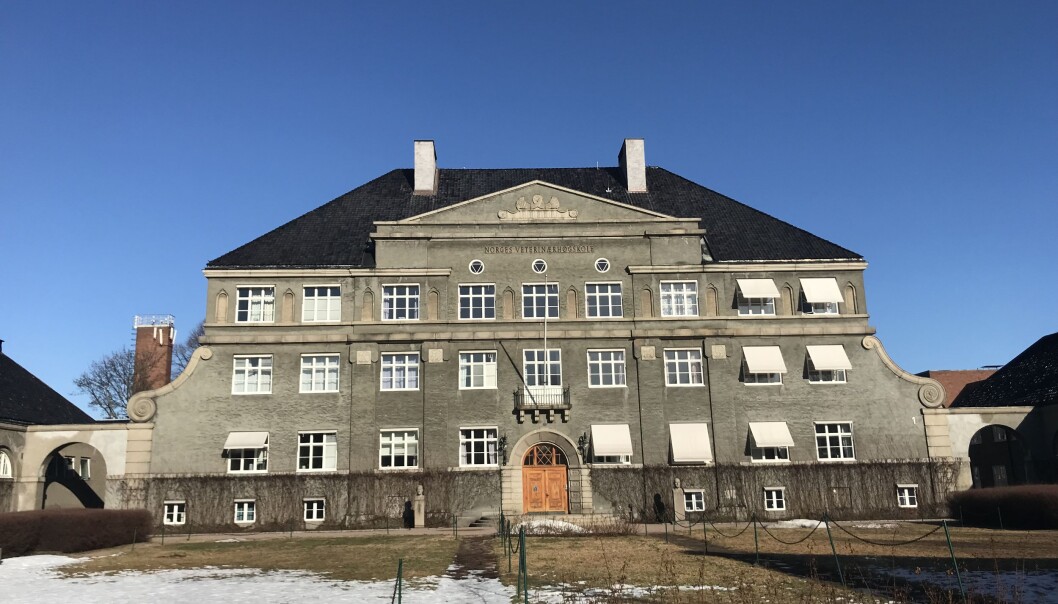 Hovedbygningen på Veterinærhøgskolen er fredet. Men tomten er foreslått når NRK nå er på leting etter et nytt sted å være. Hovedbygningen på Veterinærhøgskolen er fredet. Men tomten er foreslått når NRK nå er på leting etter et nytt sted å være.