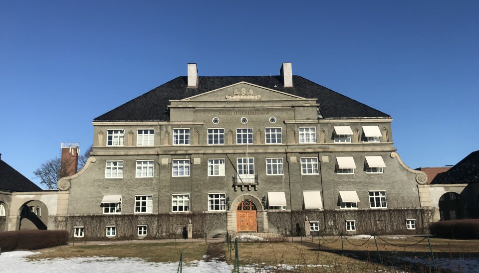 Hovedbygningen på Veterinærhøgskolen er fredet. Men tomten er foreslått når NRK nå er på leting etter et nytt sted å være.