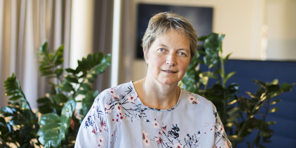 — Jeg beklager den uklare bruken av begrepet «studenter» istedenfor «søkere», da dette kan oppfattes feil, sier Hanne Solheim Hansen. Foto: Nord universitet — Jeg beklager den uklare bruken av begrepet «studenter» istedenfor «søkere», da dette kan oppfattes feil, sier Hanne Solheim Hansen. Foto: Nord universitet
