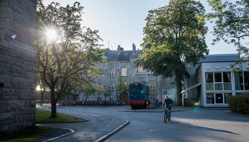 Skal man forstå universitetenes samlede bidrag til innovasjon og nyskaping, må vi ha indikatorer som favner bredere, skriver prorektor Toril A. Nagelhus Hernes ved NTNU. Foto: Skjalg Bøhmer Vold Skal man forstå universitetenes samlede bidrag til innovasjon og nyskaping, må vi ha indikatorer som favner bredere, skriver prorektor Toril A. Nagelhus Hernes ved NTNU. Foto: Skjalg Bøhmer Vold