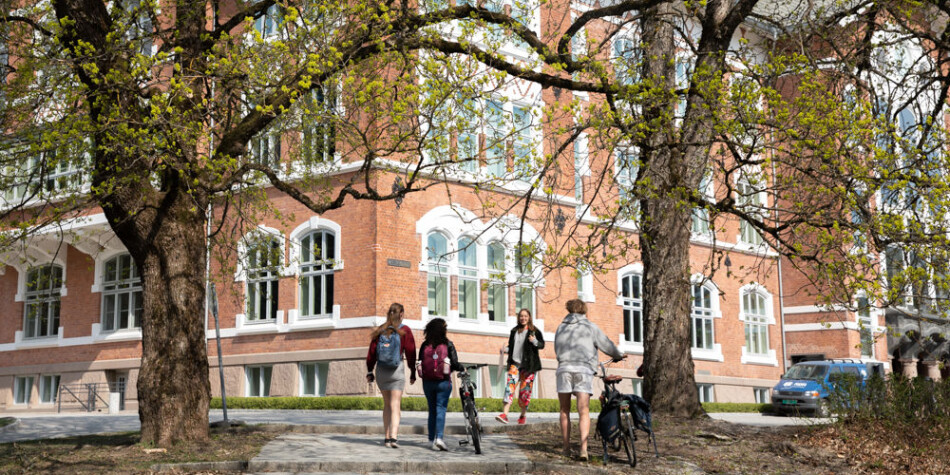 NMBU er et av universitetene der NOKUT fører tilsyn med kvalitetsarbeidet i 2019. Foto: Mina Ræge NMBU er et av universitetene der NOKUT fører tilsyn med kvalitetsarbeidet i 2019. Foto: Mina Ræge