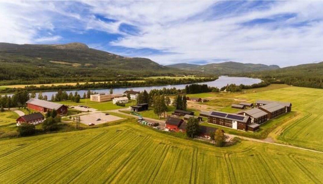 Evenstad er en av campusene ved Høgskolen i Innlandet. Her var Harry P. Andreassen dekan i en årrekke. Foto: HINN Evenstad er en av campusene ved Høgskolen i Innlandet. Her var Harry P. Andreassen dekan i en årrekke. Foto: HINN