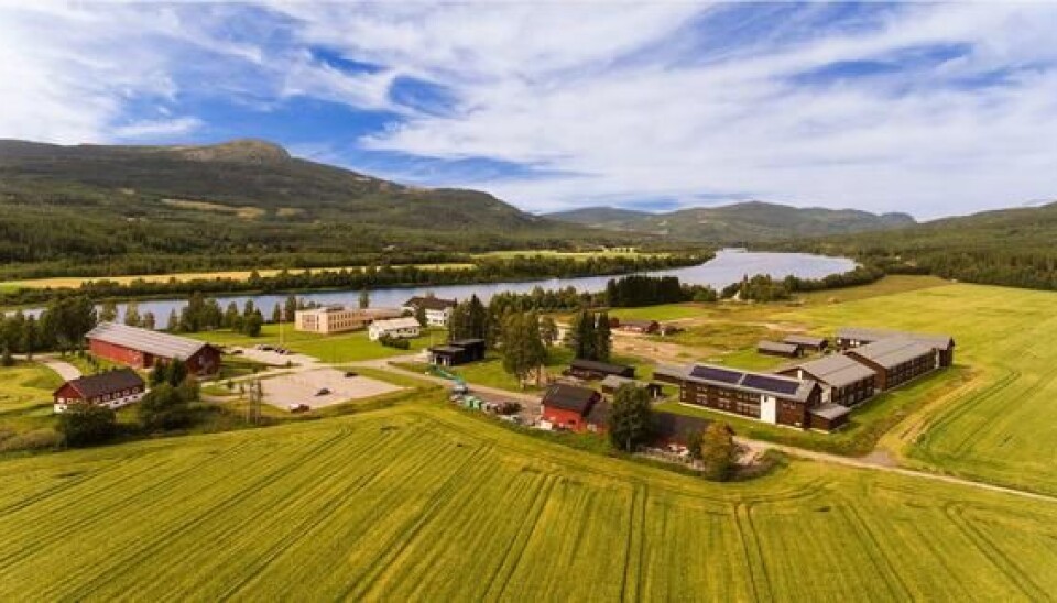 Evenstad er en av campusene ved Høgskolen i Innlandet. Her var Harry P. Andreassen dekan i en årrekke. Foto: HINN