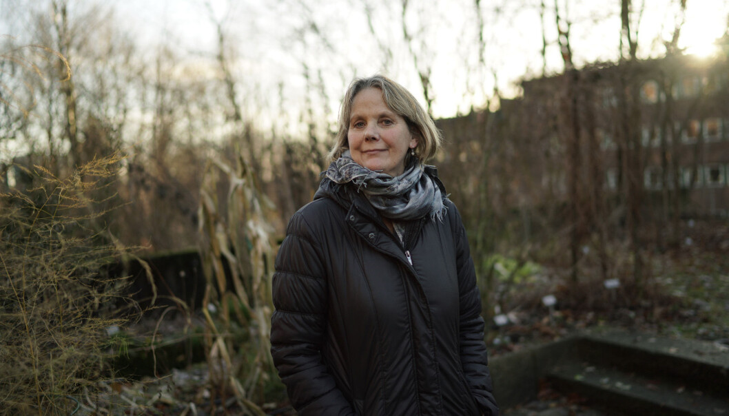 Medieprofessor Trine Syvertsen tar fatt på en ny leder av styret ved OsloMet 1. august. Foto: Ketil Blom Haugstulen Medieprofessor Trine Syvertsen tar fatt på en ny leder av styret ved OsloMet 1. august. Foto: Ketil Blom Haugstulen