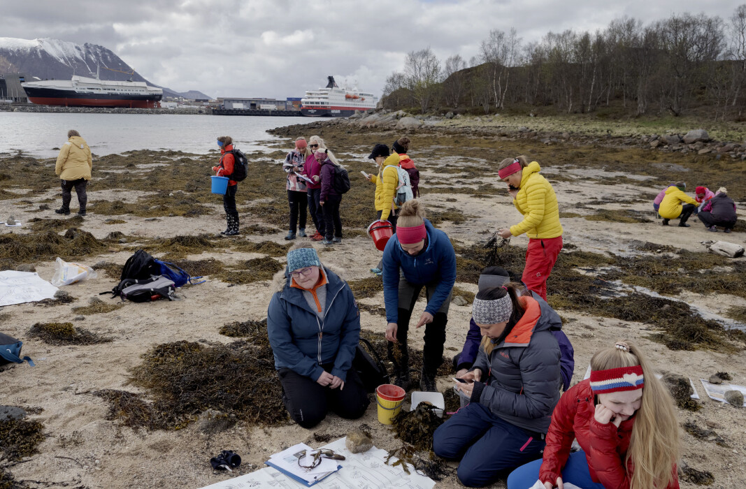 Opptak til det samlingsbaserte barnehagelærerstudiet i Vesterålen er foreslått satt på vent. Rektor ved Nord universitet, Hanne Solheim Hansen, avviser at dette er begynnelsen til en langsiktig nedtrapping. Bildet er fra en ekskursjon med barnehagelærerstudenter på Stokmarknes i 2019. Opptak til det samlingsbaserte barnehagelærerstudiet i Vesterålen er foreslått satt på vent. Rektor ved Nord universitet, Hanne Solheim Hansen, avviser at dette er begynnelsen til en langsiktig nedtrapping. Bildet er fra en ekskursjon med barnehagelærerstudenter på Stokmarknes i 2019.