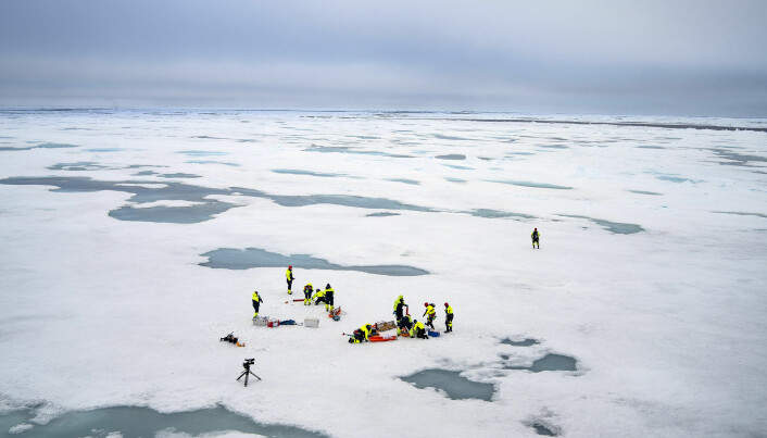 Forskere arbeider på isen i det nordlige Barentshavet. Foto: Siv N.K.Hoff/The Nansen Legacy