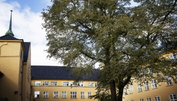 Sydneshaugen skole skal oppgraderast – kanskje kan arbeidet starta allereie i år. Foto: Ingvild Festervoll Melien Sydneshaugen skole skal oppgraderast – kanskje kan arbeidet starta allereie i år. Foto: Ingvild Festervoll Melien