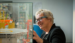 Prorektor Liv Reidun Grimstvedt ved HVL. Prorektor Liv Reidun Grimstvedt ved HVL.