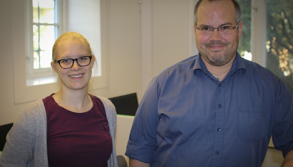 Mangler system mot falske vitnemål