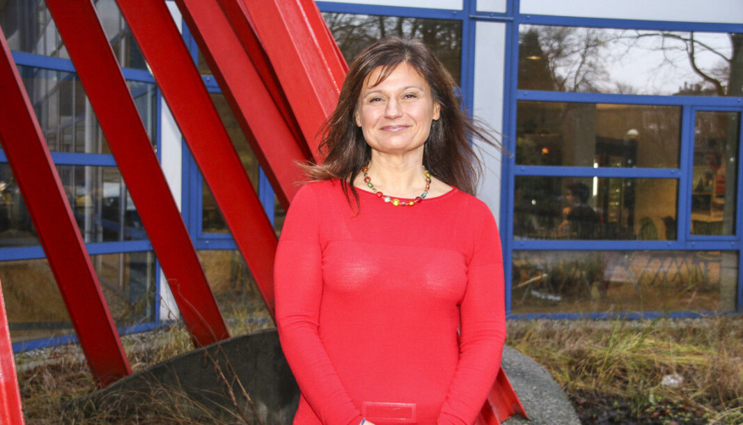 — Målet er at kandidatene som utdannes er i stand til å forstå teknologien og metodene som ligger bak verktøyene de kommer til å forholde seg til i sine fremtidige jobber, skriver prorektor Pinar Heggernes om ny emnepakke innen IKT ved Universitetet i Bergen. — Målet er at kandidatene som utdannes er i stand til å forstå teknologien og metodene som ligger bak verktøyene de kommer til å forholde seg til i sine fremtidige jobber, skriver prorektor Pinar Heggernes om ny emnepakke innen IKT ved Universitetet i Bergen.
