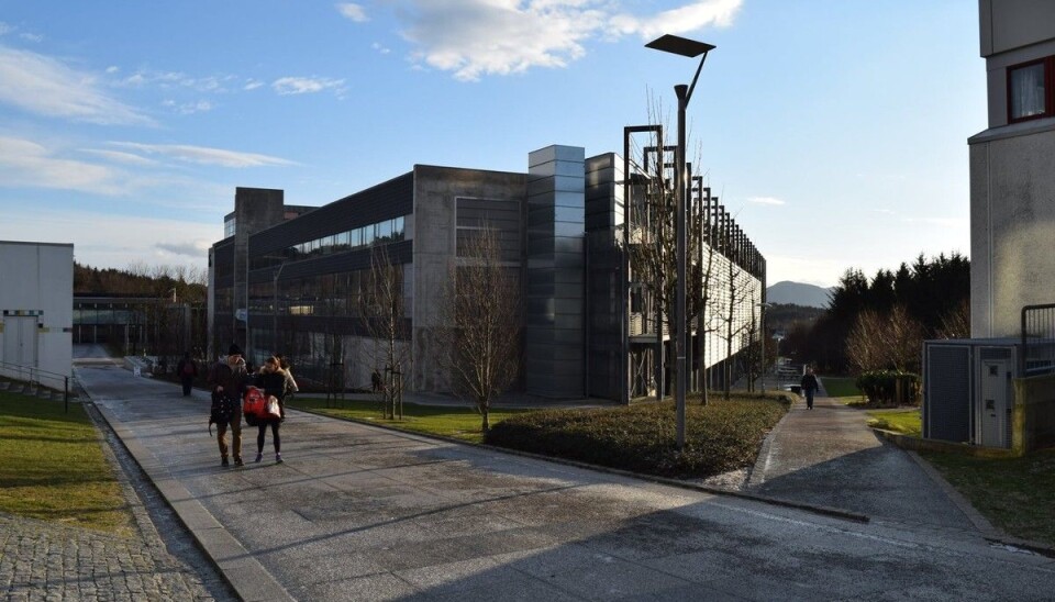 At et universitetsstyre på denne måten tråkker på fagforeningenes rett til selv å velge sine representanter og prinsippene om medbestemmelse fikk selvsagt direkte følger, skriver innleggsforfatter. Foto: Universitetet i Stavanger