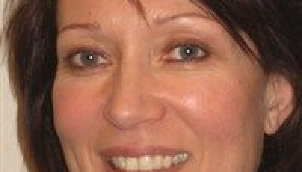 Her er HiBs styrekandidatar