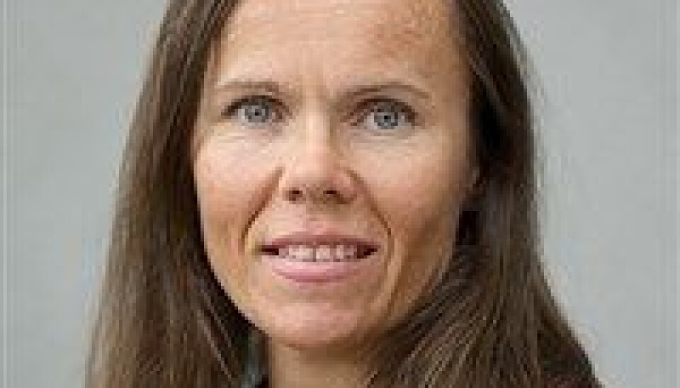 Her er HiBs styrekandidatar