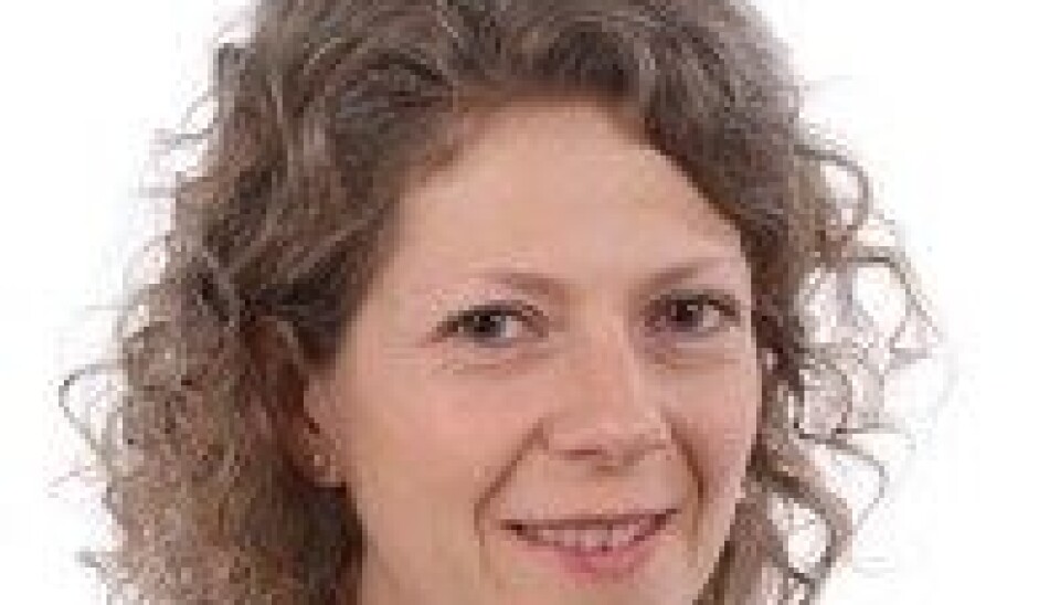 Her er HiBs styrekandidatar