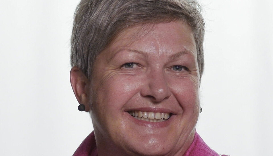 Her er HiBs styrekandidatar