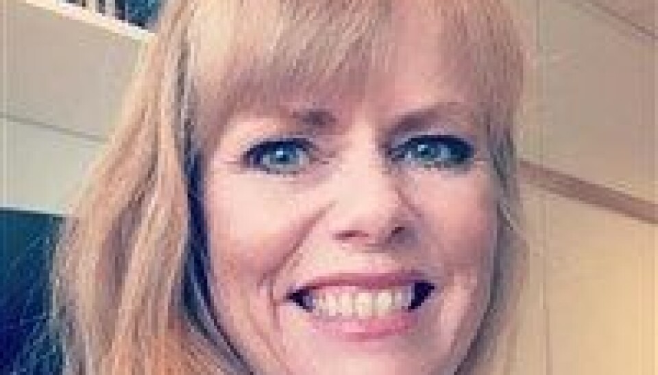 Her er HiBs styrekandidatar