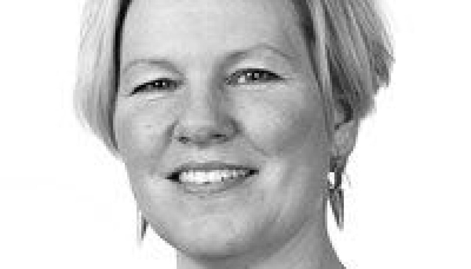 Her er HiBs styrekandidatar