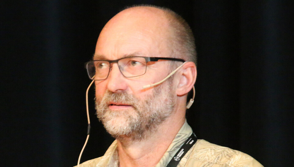 Her er HiBs styrekandidatar