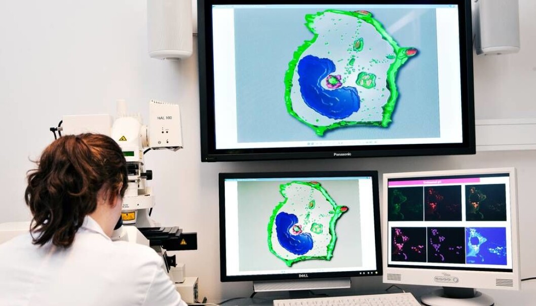 Avviklingen av gaveforsterkningen rammer noe av den fremste forskningen vi har i Norge, deriblant innen Alzheimer, bedre kreftbehandling og andre sykdommer, skriver innleggsforfatterne. Foto: Geir Mogen/NTNU DMF Avviklingen av gaveforsterkningen rammer noe av den fremste forskningen vi har i Norge, deriblant innen Alzheimer, bedre kreftbehandling og andre sykdommer, skriver innleggsforfatterne. Foto: Geir Mogen/NTNU DMF
