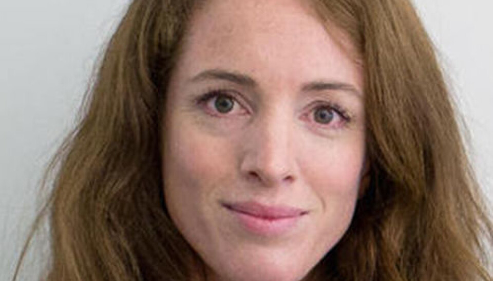 Desse professorane vil inn i universitetsstyret